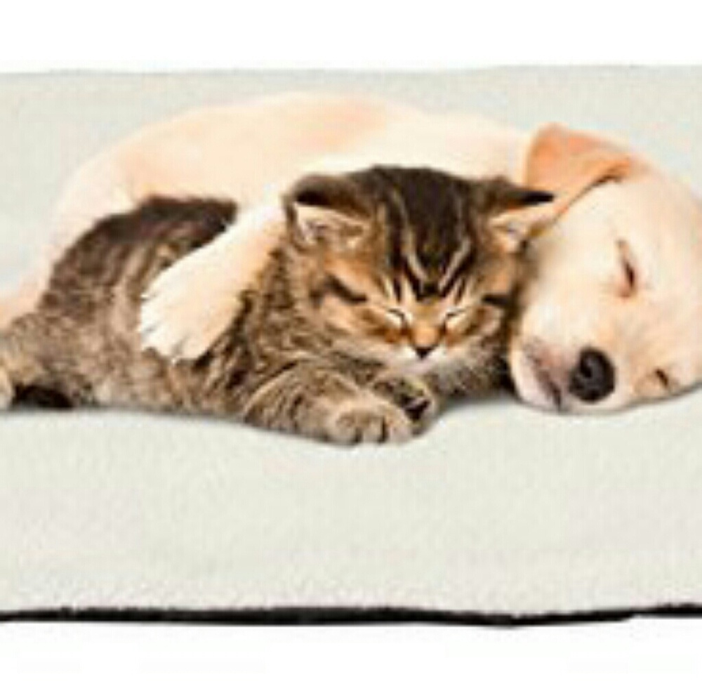 Thermal pet pad